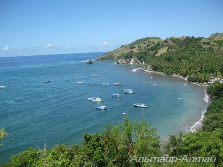 bali 23