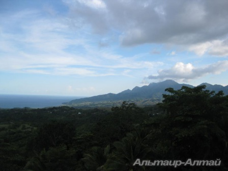 bali 9