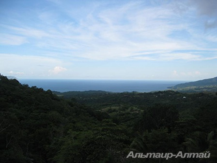 bali 11