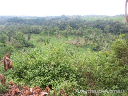 bali 17