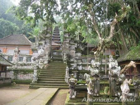 bali 56