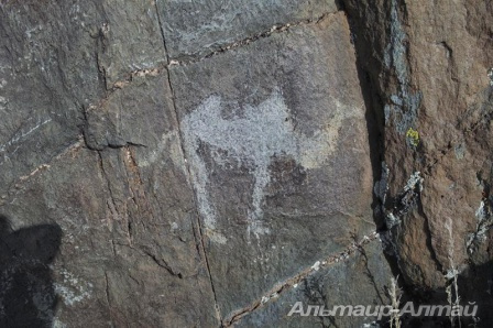 ukok 4